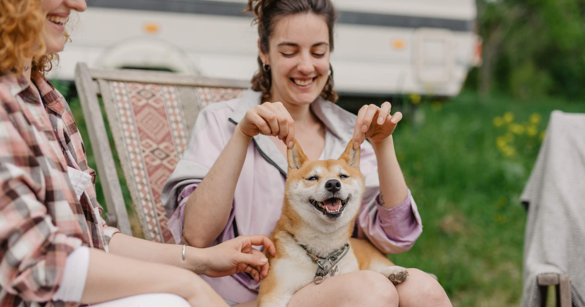 Camping With Dogs Made Easy: 5 Tips &amp; Tricks