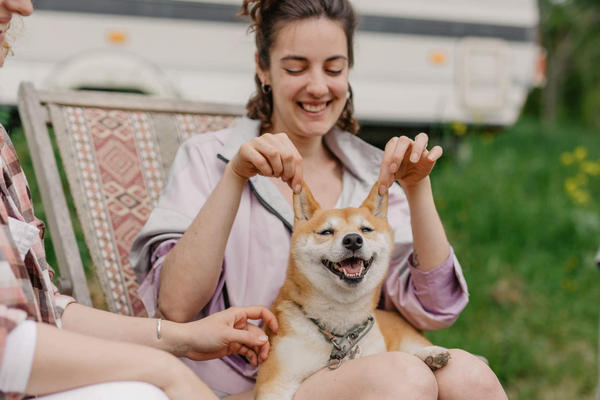 Camping With Dogs