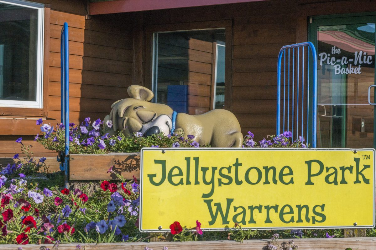 Cranberry Festival 2025: Stay at Jellystone Park™ Warrens for a Fun-Filled Fall Weekend